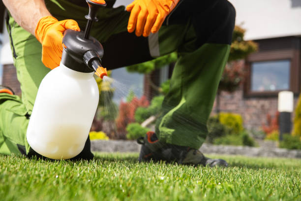 Best Pest Removal Services  in Loretto, PA