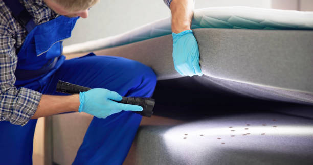 Pest Control Cost in Loretto, PA