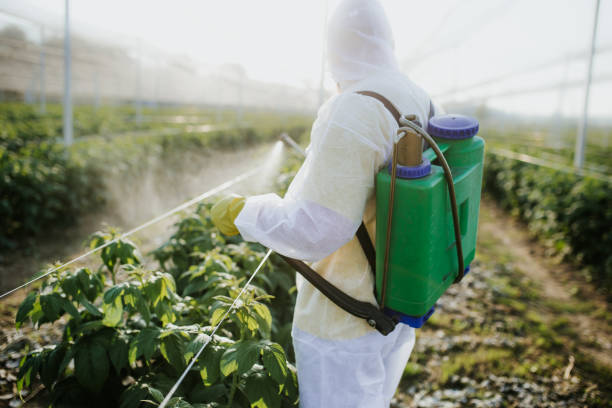 Best Cockroach Control Services  in Loretto, PA